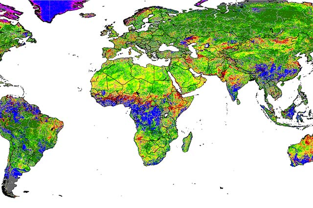 Georeferenced section of map showing early land concessions surrounding