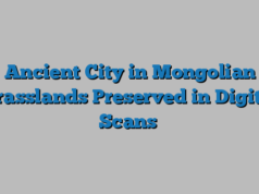 Ancient City in Mongolian Grasslands Preserved in Digital Scans
