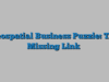 Geospatial Business Puzzle: The Missing Link