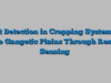 Pest Detection in Cropping Systems of Indo Gangetic Plains Through Remote Sensing