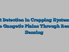 Pest Detection in Cropping Systems of Indo Gangetic Plains Through Remote Sensing
