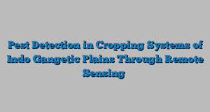 Pest Detection in Cropping Systems of Indo Gangetic Plains Through Remote Sensing