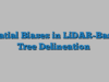 Spatial Biases in LiDAR-Based Tree Delineation