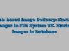 Web-based Image Delivery: Storing Images in File System VS. Storing Images in Database