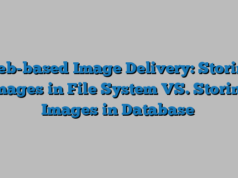 Web-based Image Delivery: Storing Images in File System VS. Storing Images in Database