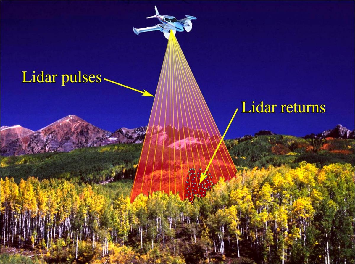 download vertical readings in dante␙s comedy