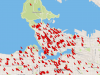 CrowTrax - B.C. crow attacks tracked with new online map