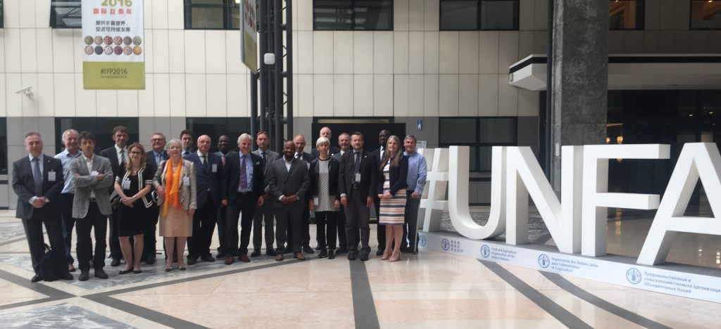 Standards bodies representing land professionals met at the Food and Agriculture Organization of the United Nations in Rome recently. More than 150 countries participated in the meet.