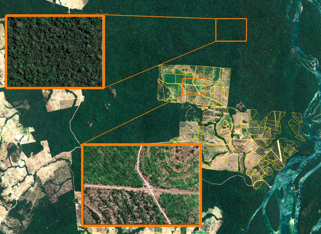 Maharashtra is using GPS and satellite mapping technology to monitor forest cover of the state