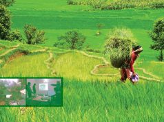 Nepal