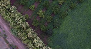 uav-picture
