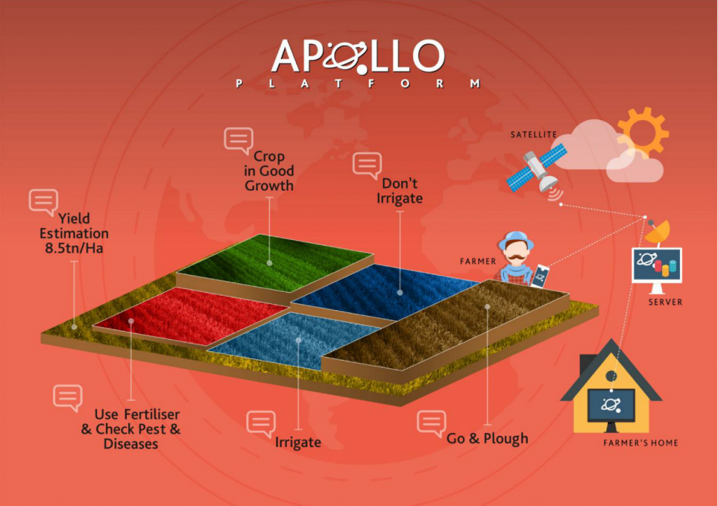Examples of the APOLLO advisory services for small farmers (Credits: APOLLO consortium)