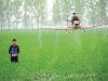 Drones and Robots