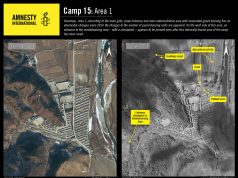 Image Courtsey: DigitalGlobe