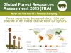 FAO forests infographic