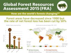 FAO forests infographic