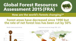 FAO forests infographic