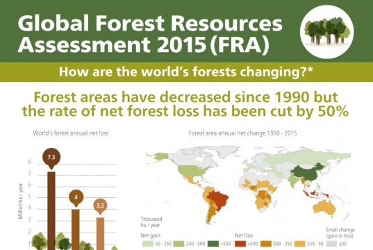 FAO forests infographic