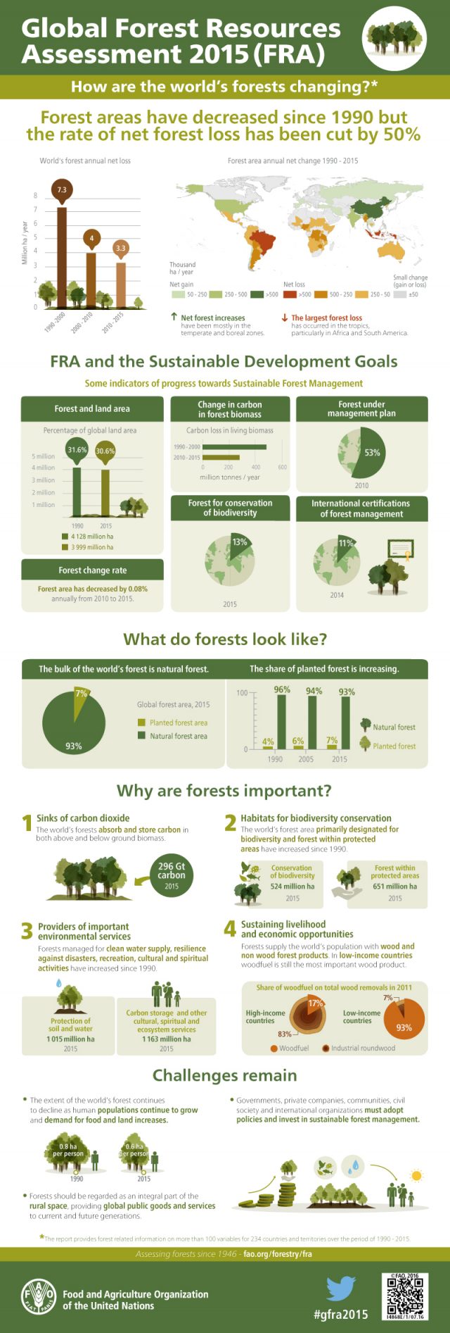 FAO forests infographic shows how the world's forests are changing