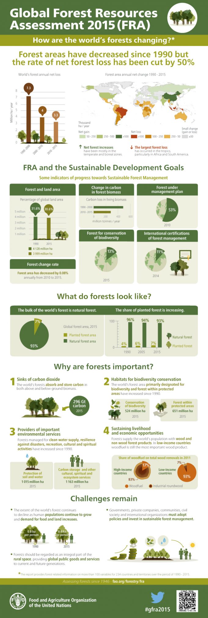 FAO forests infographic shows how the world's forests are changing