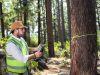 Forestry surveying using a GNSS receiver. Photo: ©GSA, ©European GNSS Agency