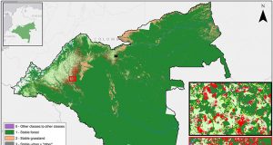 h_research_amazon_strata_insets