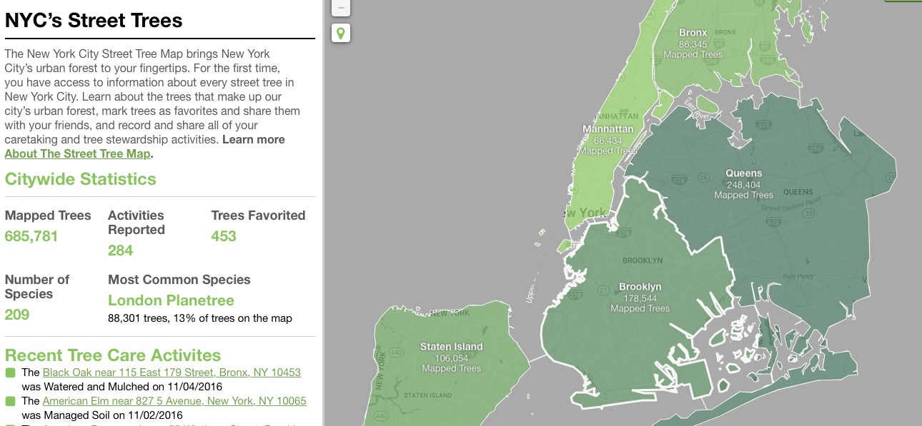 New York Street Tree Map New York City Street Tree Map Shows Location Of Each And Every Tree