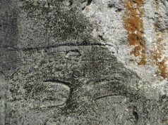 laser scanner