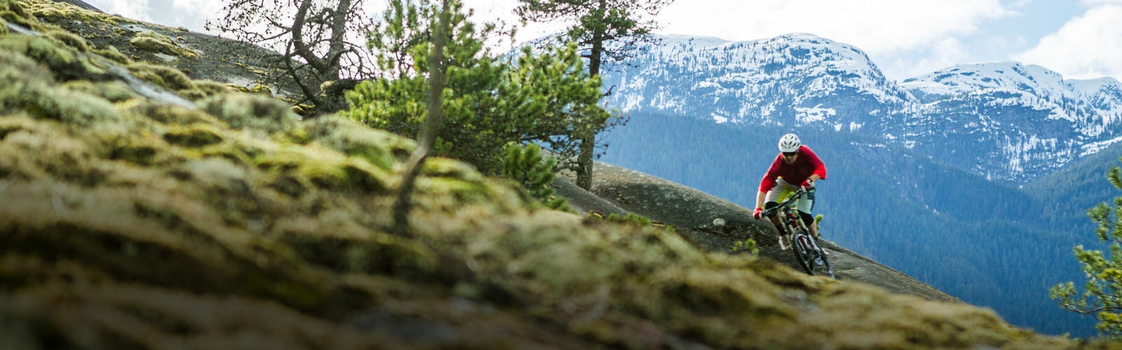 Nelson s mountain biking trails get Google Streetview treatment