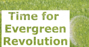 evergreen revolution