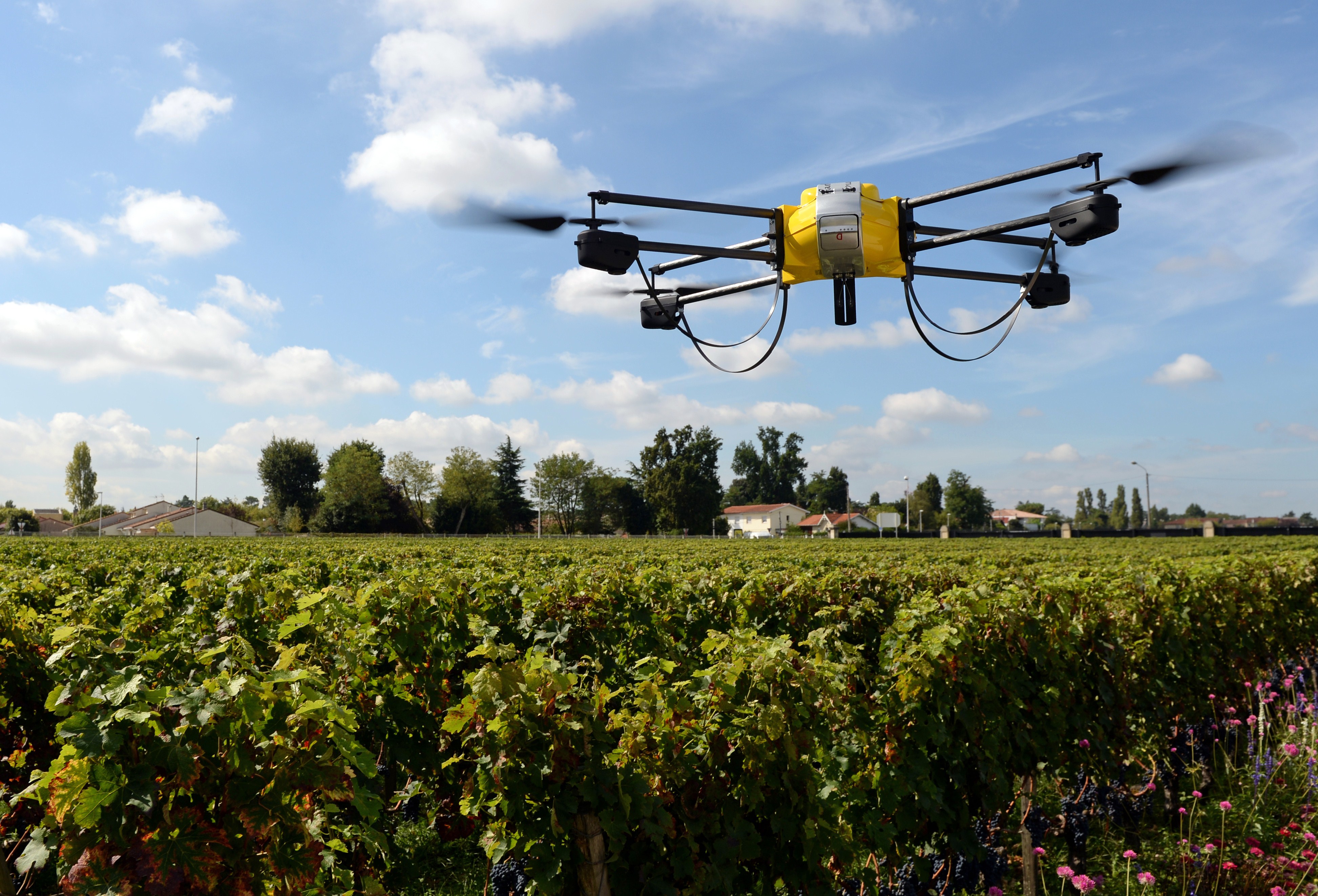 El uso de online drones en la agricultura