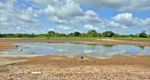 Getting a handle on drought surveillance