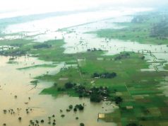 satellite imagery and crop insurance