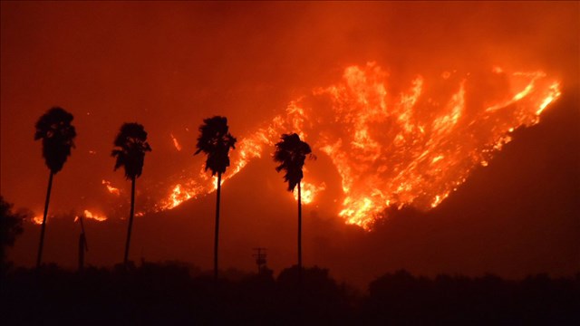 Lightning a major cause of wildfires, reveals NASA study