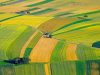 NITI Aayog and IBM signed SOI to develop precision agriculture over Artificial Intelligence