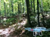 Using drone technology to conserve the environment