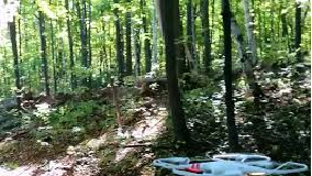 Using drone technology to conserve the environment