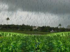 Rainfall Forecasting Data