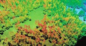 LiDAR in forestry