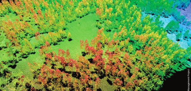 Check Out Use Of LiDAR In Forestry Applications