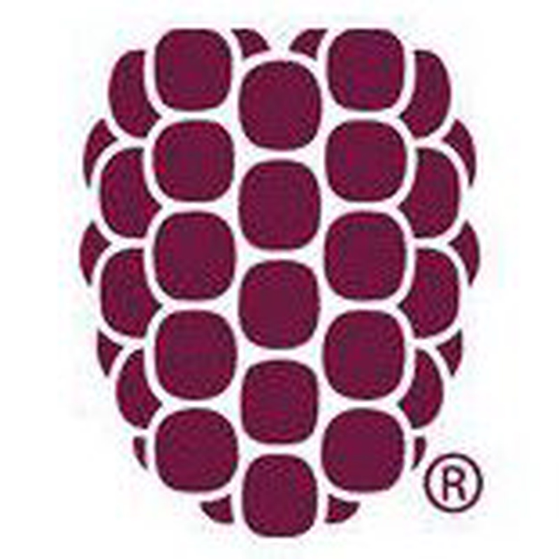 Dewberry provides data analytics for Houston postflooding