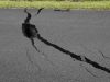 Study uses AI technology to begin to predict locations of aftershocks