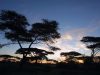 google and the national geographic society announces partnership