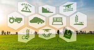 precision agriculture
