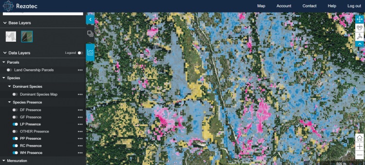 ForestRe gains competitive advantage using satellite data for