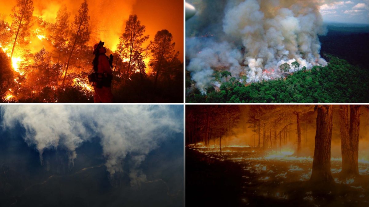 Deadly Amazon Rainforest Fire Spotted From Space Geospatial World