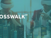 crosswalk