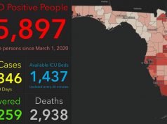 florida dashboard