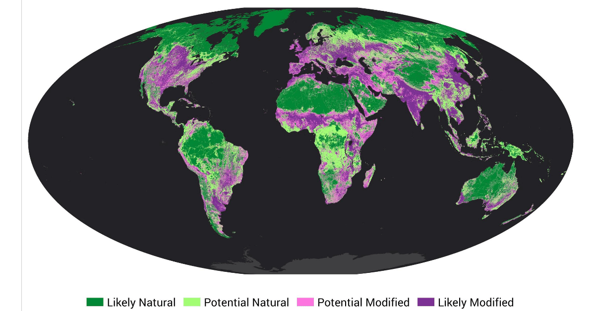 A New Global Map Of Terrestrial Habitat For Boosting Greener Business ...