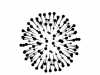 Pixxel Logo